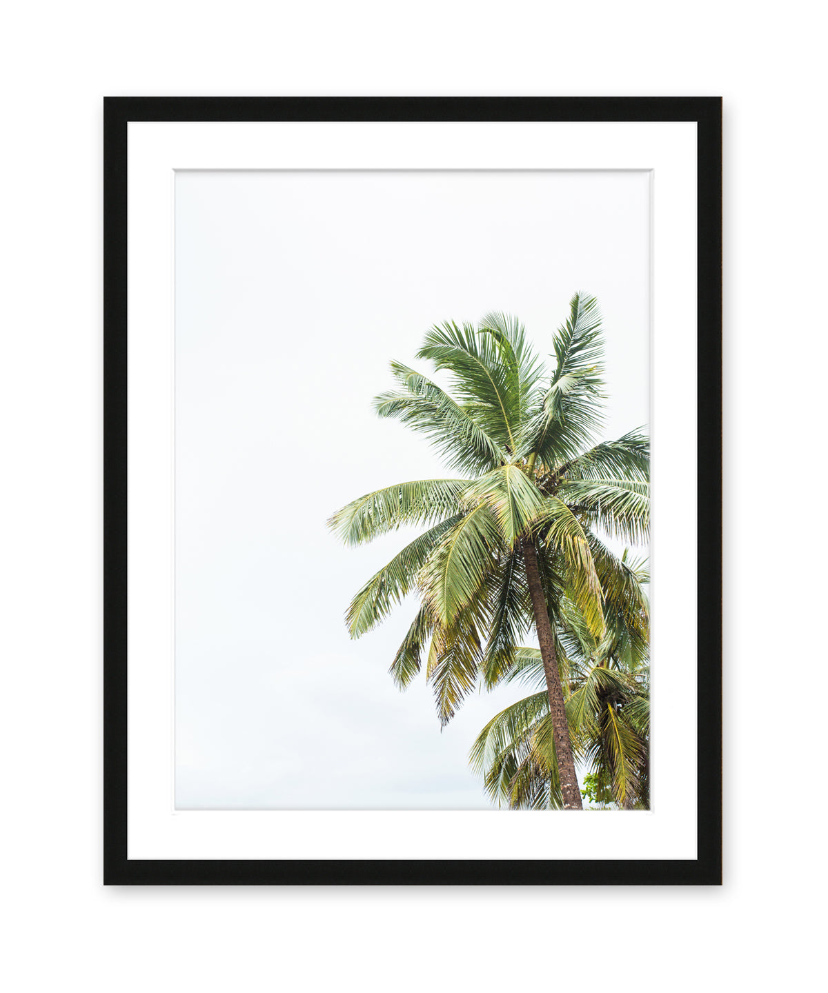 tropical palm tree print with black frame