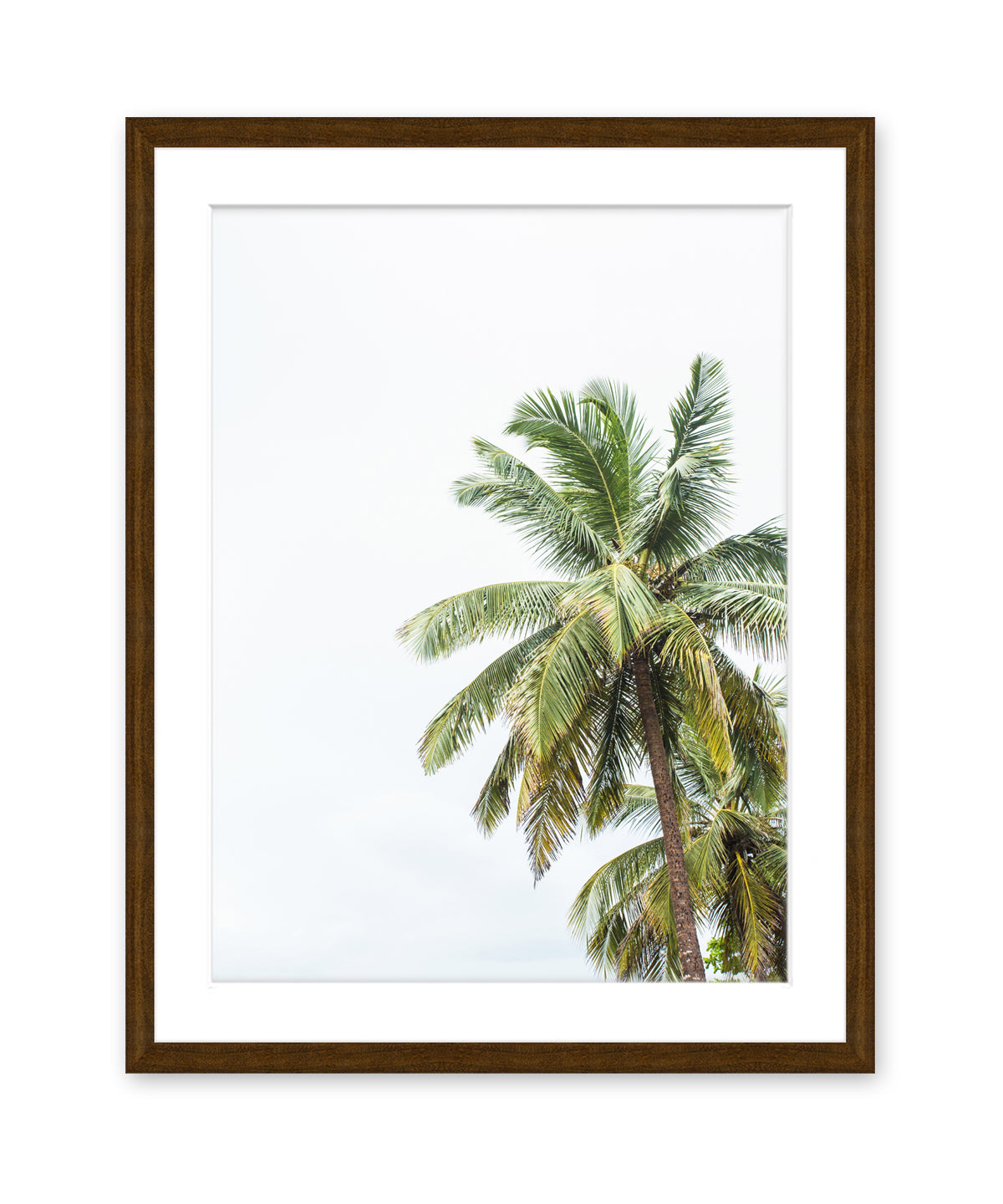 tropical palm tree print with dark wood frame