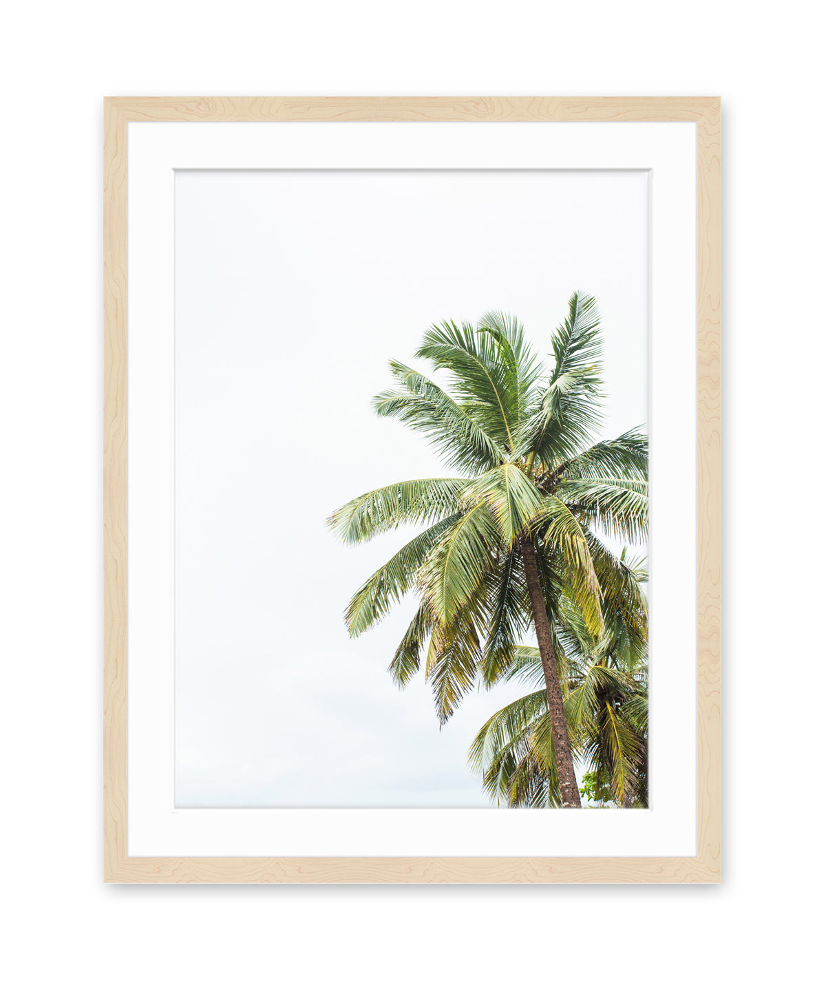 tropical palm tree print with wood frame