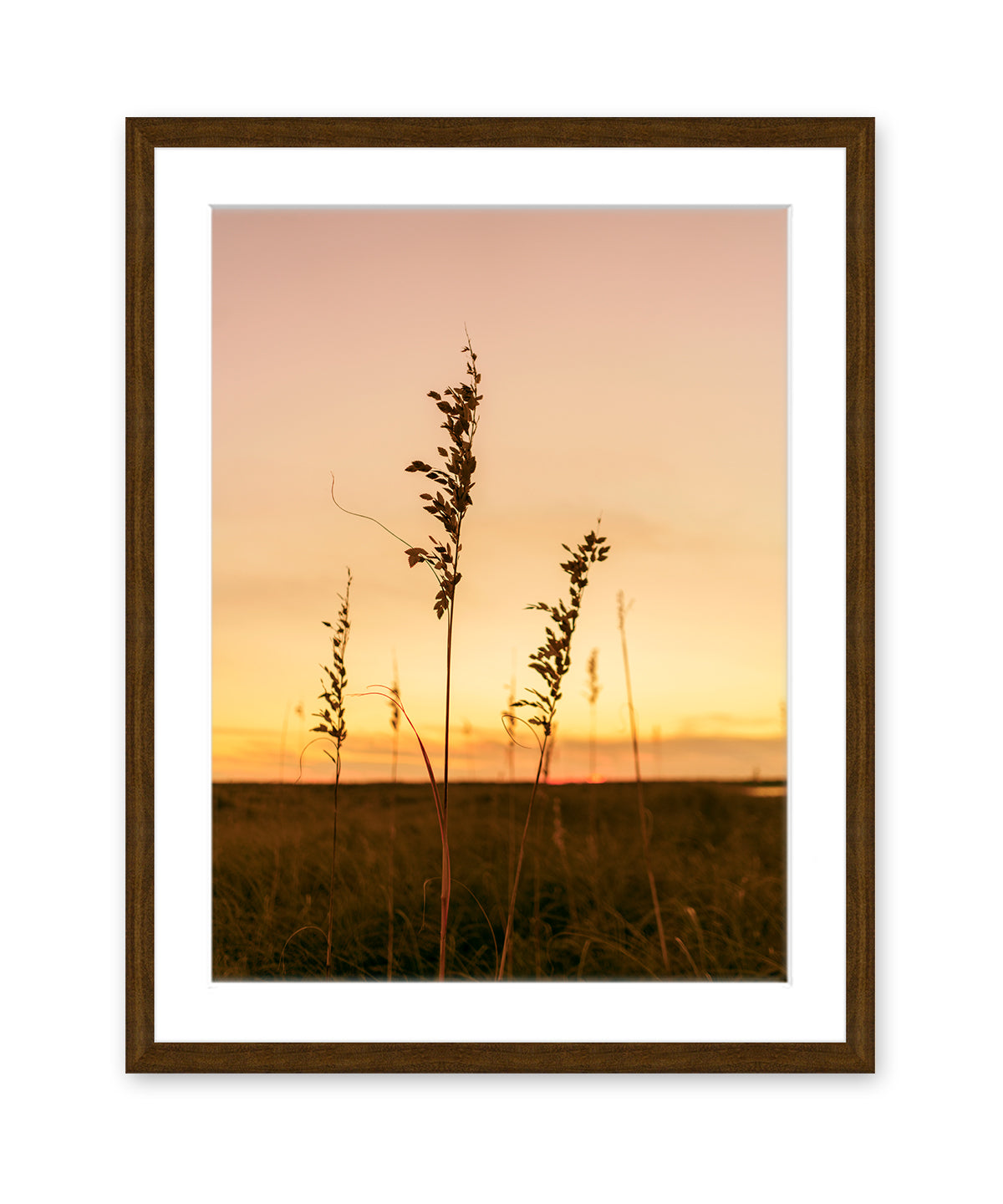 Sunset Seagrass Beach Photograph, Dark Wood Frame by Wright and Roam