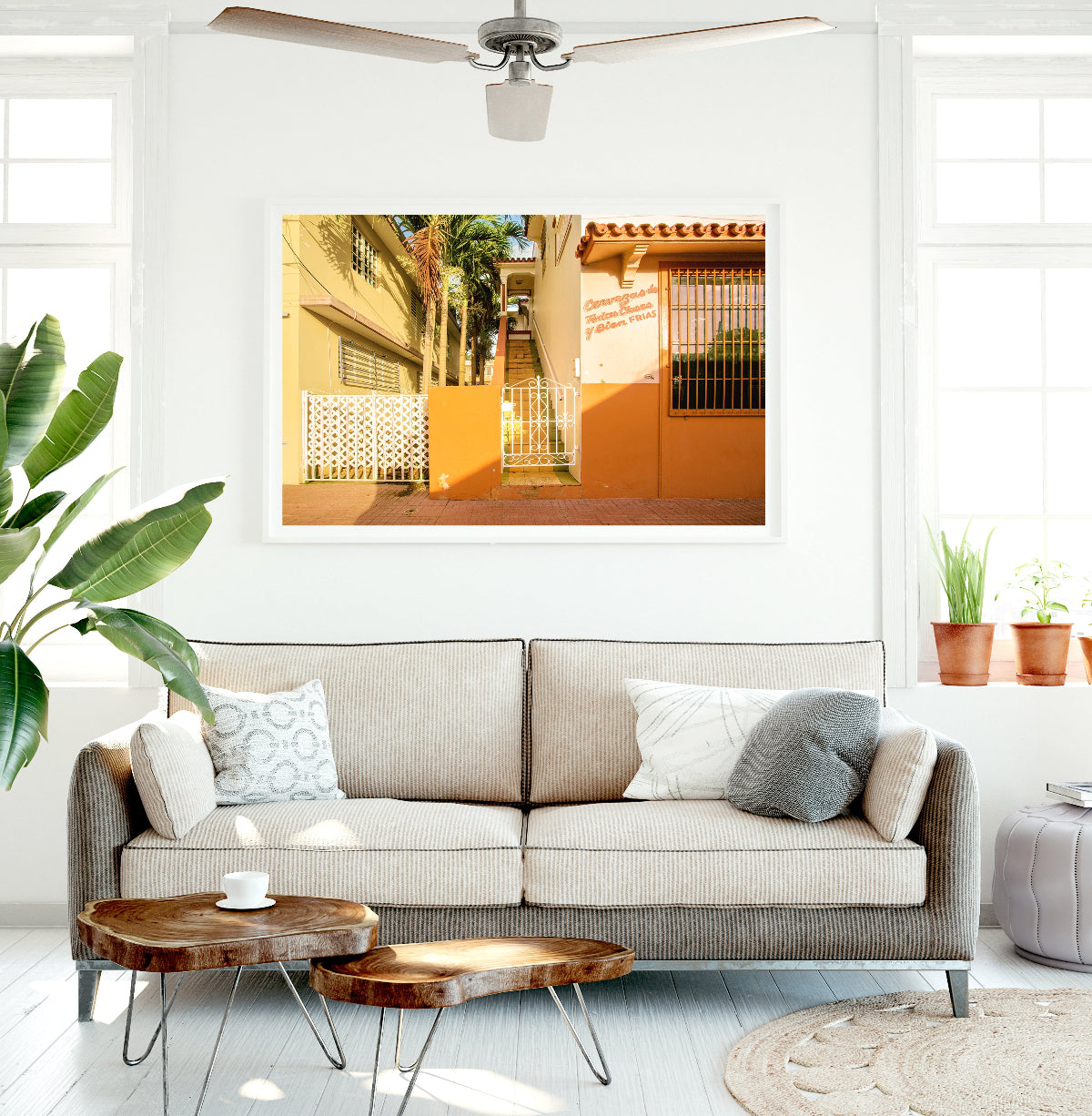 surf shak decor featuring large framed travel photography of orange buildings in rincon puerto rico