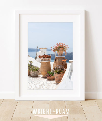 Blue and White Greece Floral Travel Print