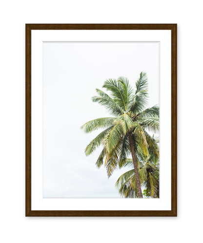 tropical palm tree print with dark wood frame