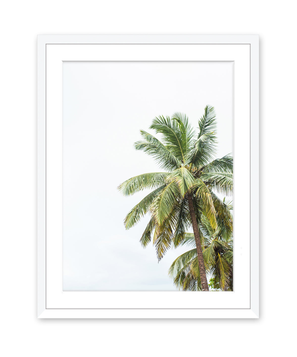 tropical palm tree print with white wood frame