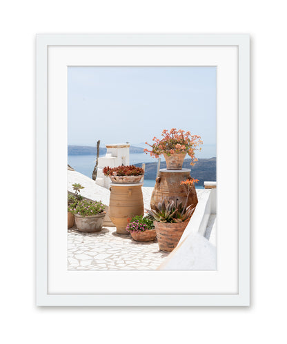 Blue and White Greece Floral Travel Print